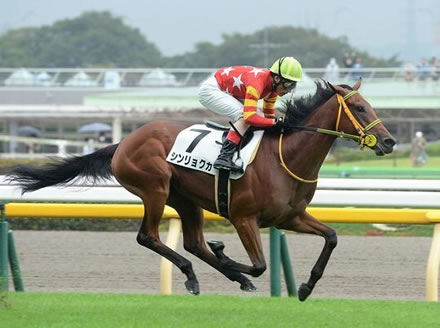 シンリョクカが引退　繁殖入り