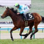 【競馬予想】[2]第50回エリザベス女王杯(GⅠ)/2025