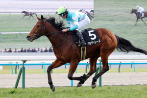 【競馬予想】[2]第50回エリザベス女王杯(GⅠ)/2025