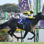 【天皇賞･秋】3歳馬マスカレードボールが古馬撃破でG1初勝利！ルメール３週連続G1勝利