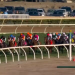 【BCジュベナイルフィリーズターフ】スウィッチインラヴ逆噴射11着ww