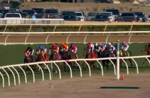 【BCジュベナイルフィリーズターフ】スウィッチインラヴ逆噴射11着ww