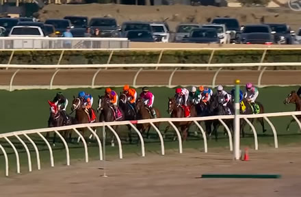 【BCジュベナイルフィリーズターフ】スウィッチインラヴ逆噴射11着ww