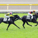 結果的にクロワデュノールの株が再浮上