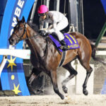 オーサムリザルト引退、ノーザンファームで繁殖入り