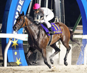 オーサムリザルト引退、ノーザンファームで繁殖入り