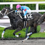 【競馬予想】[1] 第15回みやこステークス(GⅢ) /2025