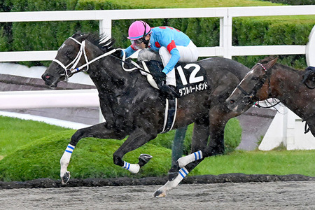 【競馬予想】[1] 第15回みやこステークス(GⅢ) /2025