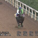 【京阪杯2025】追い切り/調教を見てわかる事