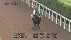 【京阪杯2025】追い切り/調教を見てわかる事