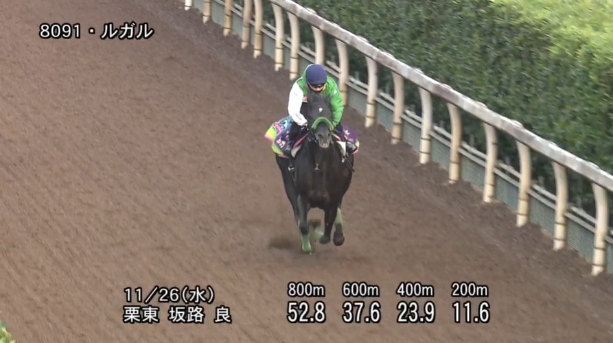 【京阪杯2025】追い切り/調教を見てわかる事