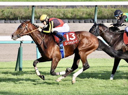 【競馬予想】[1]第63回アルゼンチン共和国杯(GⅡ) /2025