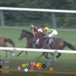 【競馬】天皇賞・秋　シランケドの上がり31秒7ｗｗｗ