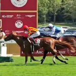 ビザンチンドリーム香港ヴァーズ招待受諾も出走辞退