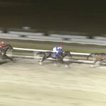 【浦和記念2025】結果・動画/ホウオウルーレットが内から強襲V