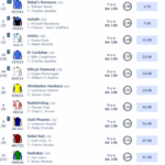 【BCターフ】平地障害の二刀流エシカルダイアモンドがｷﾀ━━━━(ﾟ∀ﾟ)━━━━!!