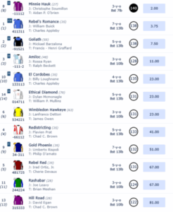 【BCターフ】平地障害の二刀流エシカルダイアモンドがｷﾀ━━━━(ﾟ∀ﾟ)━━━━!!