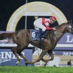 ジャパンカップで3強対決が楽しみすぎる件