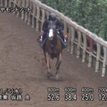 【京王杯2歳ステークス2025】追い切り/動きを見極め勝利に近づけ