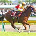 重賞5勝トウシンマカオ引退、アロースタッドで種牡馬入り