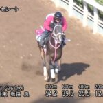 【京都2歳ステークス2025】追い切り/抜群の動きを見せたのは