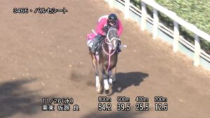 【京都2歳ステークス2025】追い切り/抜群の動きを見せたのは