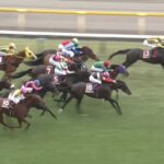 【アルゼンチン共和国杯2025】結果・動画/ミステリーウェイが驚異の粘り腰を見せる