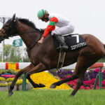 【競馬予想】[3]第50回エリザベス女王杯(GⅠ)/2025