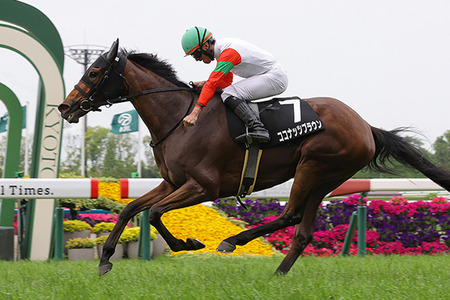 【競馬予想】[3]第50回エリザベス女王杯(GⅠ)/2025