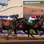 今年JRAのレースに未出走のフォーエバーヤングが年度代表馬に相応しいか論争