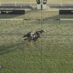 【競馬】ジャパンCはバルザローナ騎乗のカランダガンがレコードでV