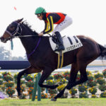 【エリザベス女王杯】リンクスティップ2番人気って売れすぎだろwww