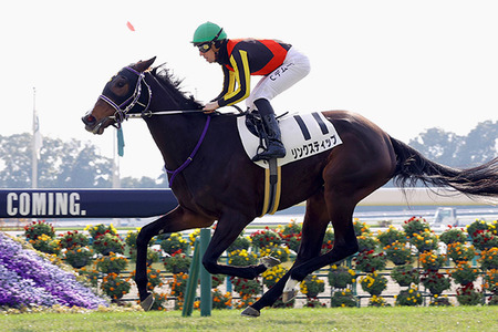 【エリザベス女王杯】リンクスティップ2番人気って売れすぎだろｗｗｗ