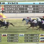 【マイルCS】ウォーターリヒト買えたヤツwww