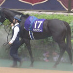 【マイルCS】7着アスコリピチェーノとはなんだったのか