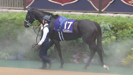 【マイルCS】7着アスコリピチェーノとはなんだったのか