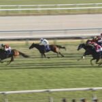 【エリザベス女王杯2025】結果・動画/レガレイラが人気に応え快勝