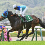 アドマイヤマツリがエリザベス女王杯を回避