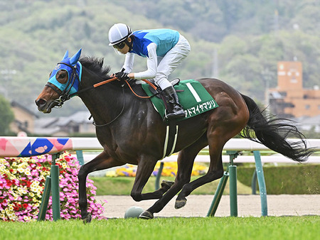 アドマイヤマツリがエリザベス女王杯を回避