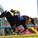 【マイルCS】ジャンタルマンタル強すぎワロタw w w w w