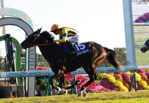 【マイルCS】ジャンタルマンタルが快勝!史上初の国内芝マイルG1完全制覇&春秋マイルG1制覇