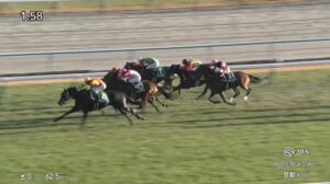 【京都2歳ステークス2025】結果・動画/ジャスティンビスタが一気に差し切る