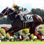 【競馬予想】第12回ラジオNIKKEI杯京都2歳ステークス(GⅢ) /2025