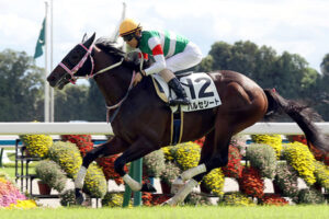 【競馬予想】第12回ラジオNIKKEI杯京都2歳ステークス(GⅢ) /2025