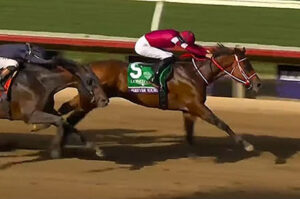 フォーエバーヤングの年度代表馬ある?