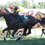 【ゴールデンイーグル/豪】パンジャタワー初の海外レースで5着に健闘