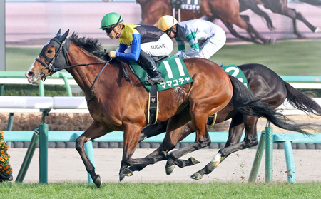 G1牝馬ママコチャ、来年7歳も現役続行