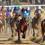 現役最強ダート馬フォーエバーヤングさんに強敵現る