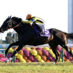 ジャンタルマンタル顕彰馬に届くか
