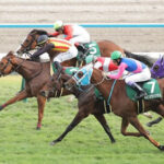 また2歳馬離脱　フェスティバルヒル剥離骨折